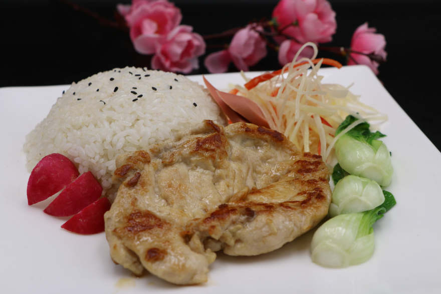 海口扒饭培训