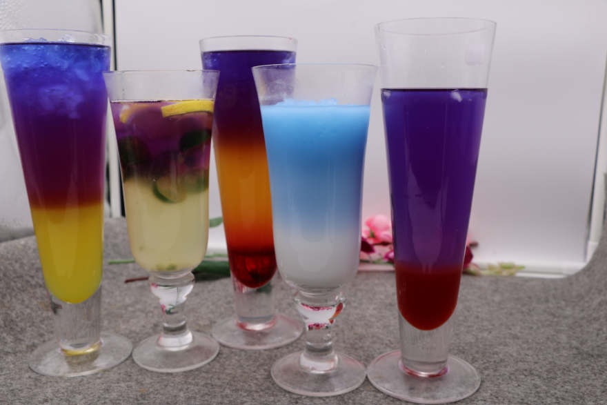 海口泰国蝶豆花培训